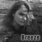 Various Artists - Breeze D